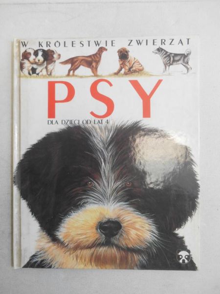 Psy