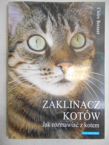 Zaklinacz kotów. Jak rozmawiać z kotem