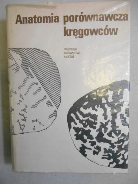 Anatomia porównawcza kręgowców