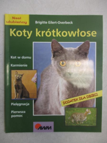 Koty krótkowłose