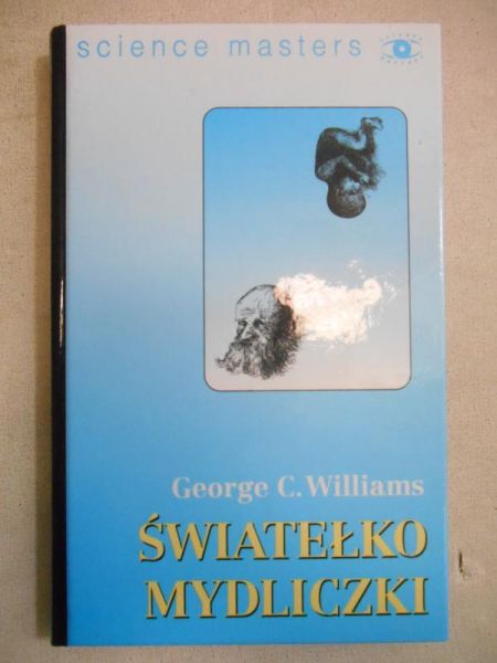 Światełko mydliczki