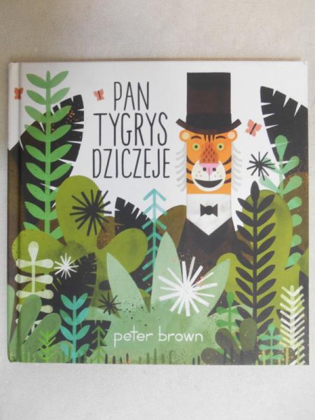Pan tygrys dziczeje
