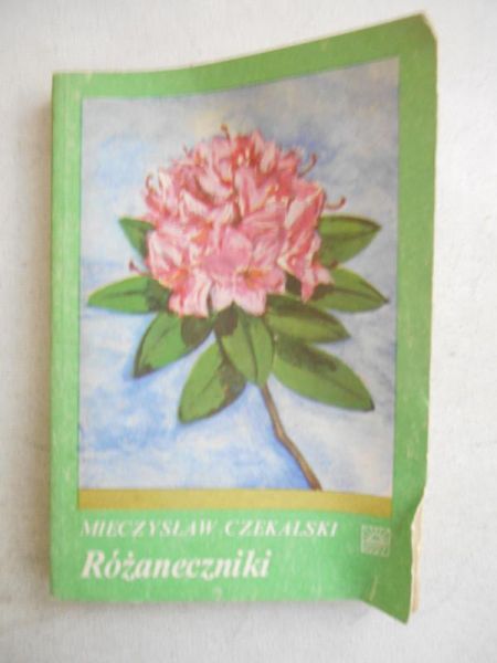 Różanecznik
