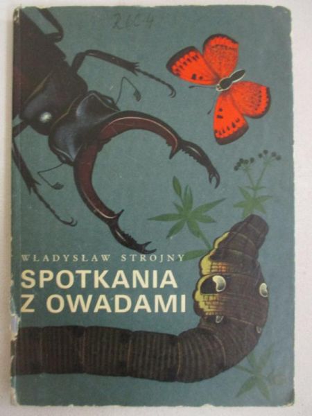 Spotkania z owadami