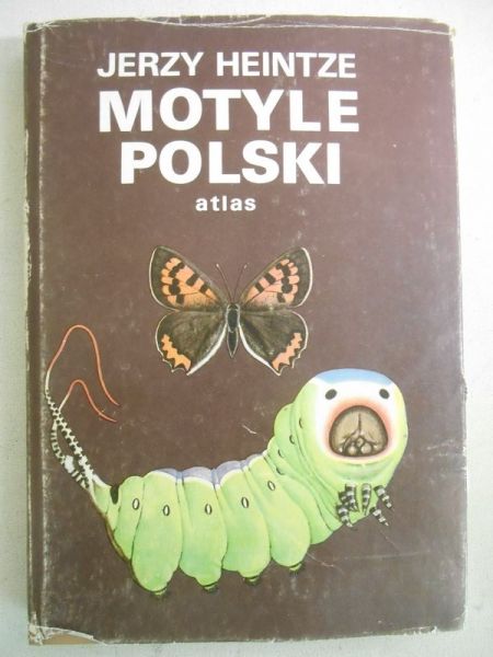 Motyle Polski