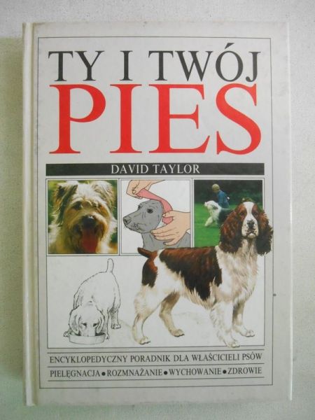 Ty i twój pies