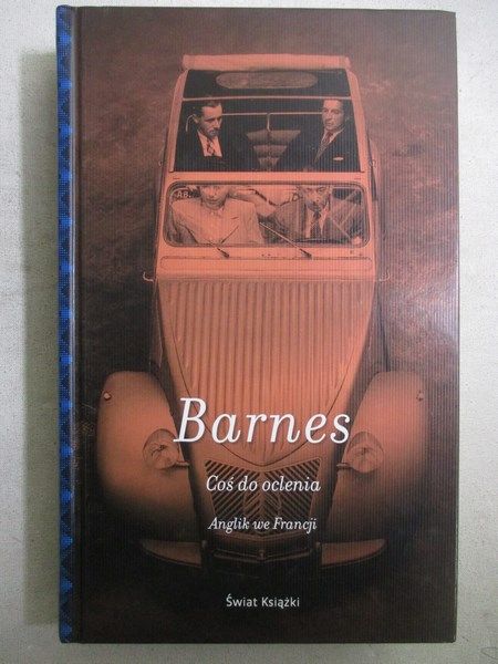 Barnes Julian - Coś do ocalenia