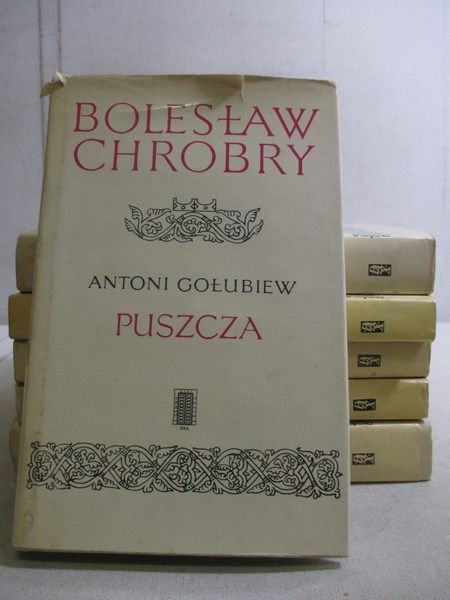 Bolesław Chrobry, Tom I-VI