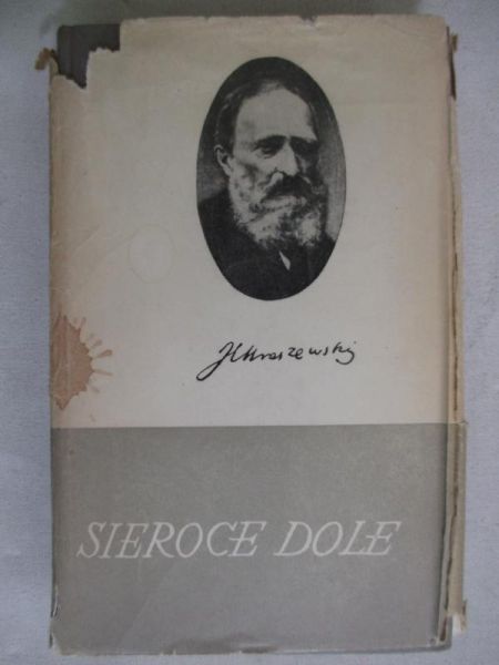 Kraszewski Józef Ignacy - Sieroce dole