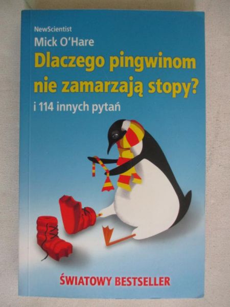 Dlaczego pingwinom nie zamarzają stopy?