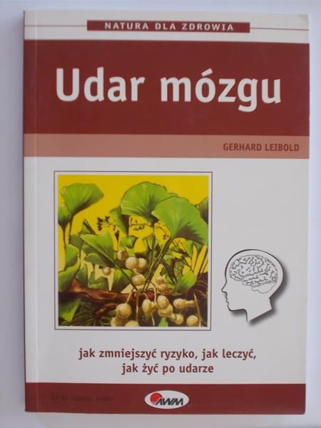 Udar mózgu