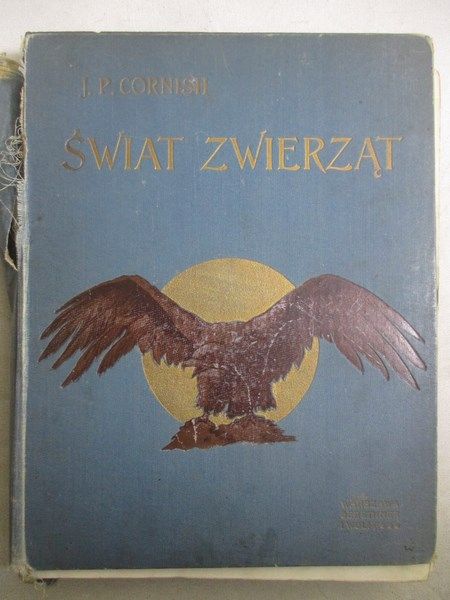 Świat zwierząt, [1913]