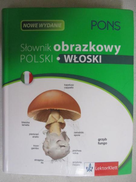 Słownik obrazkowy, polski  - włoski