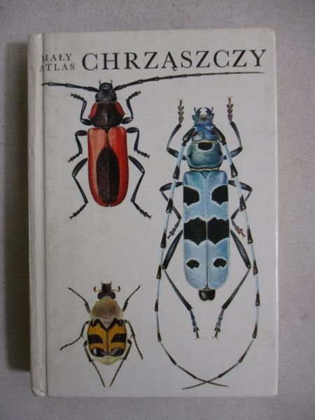 Mały atlas chrząszczy
