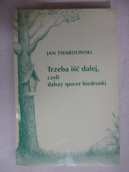 Trzeba iść dalej, czyli dalszy spacer biedronki