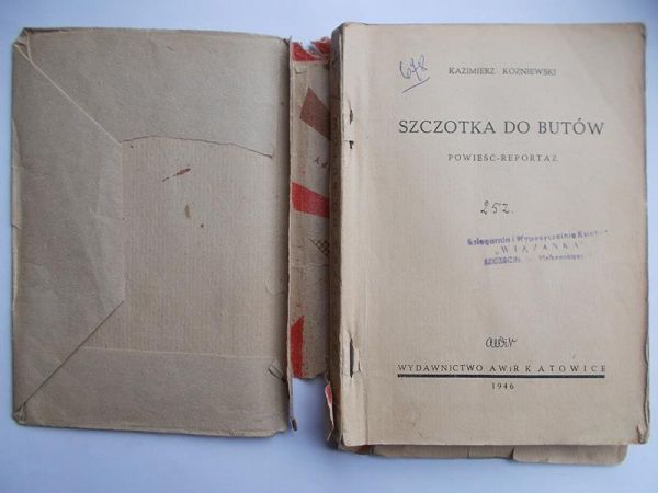 Szczotka do butów