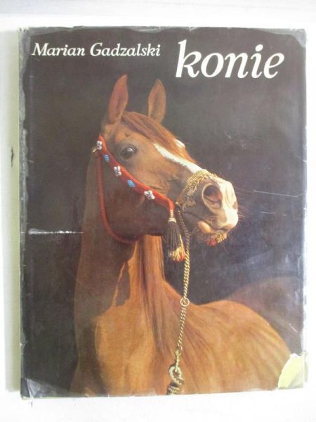 Gadzalski Marian  - Konie