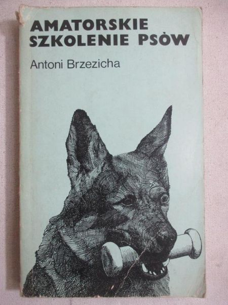 Amatorskie szkolenie psów