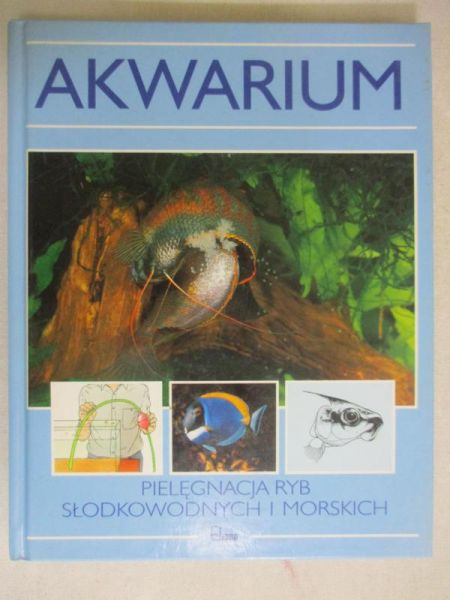 Akwarium
