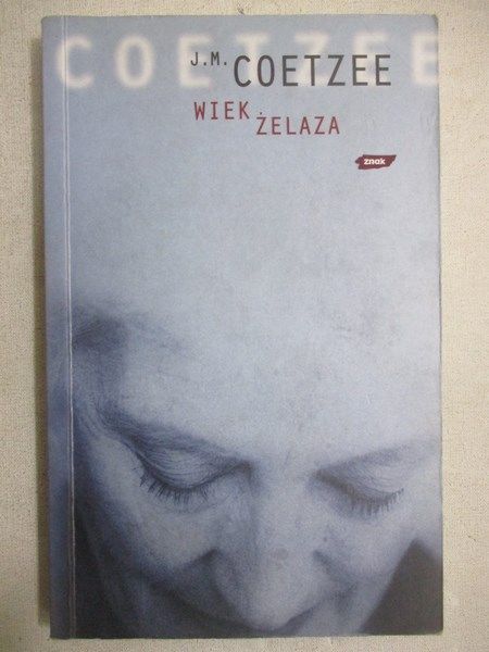 Wiek żelaza