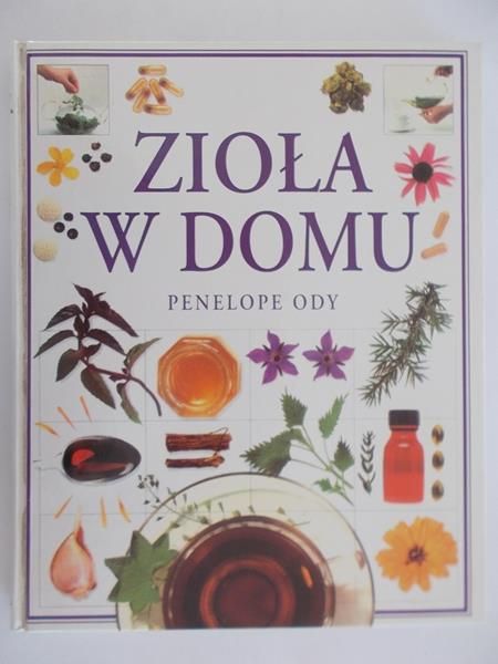 Zioła w domu