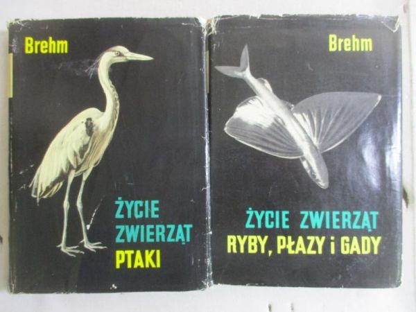 Brehm Alfred - Życie zwierząt. Ptaki / Ryby, płazy  gady.