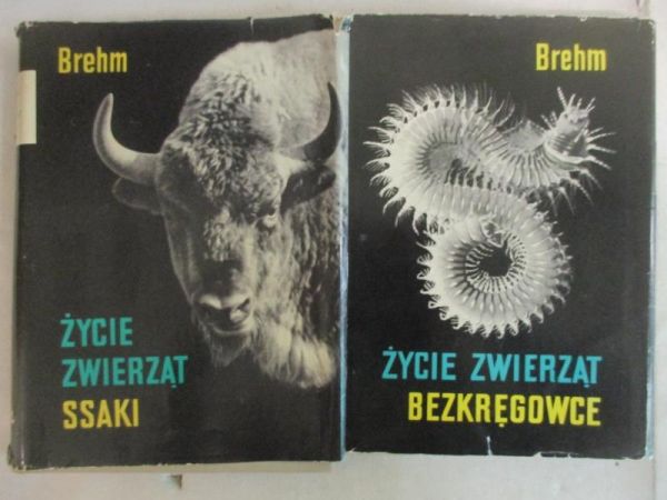 Brehm Alfred - Życie zwierząt. Bezkęgowce/ Ssaki
