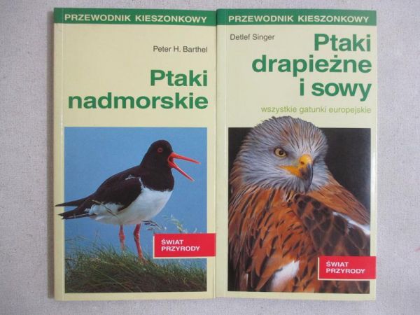 Ptaki drapieżne i sowy/Ptaki nadmorskie