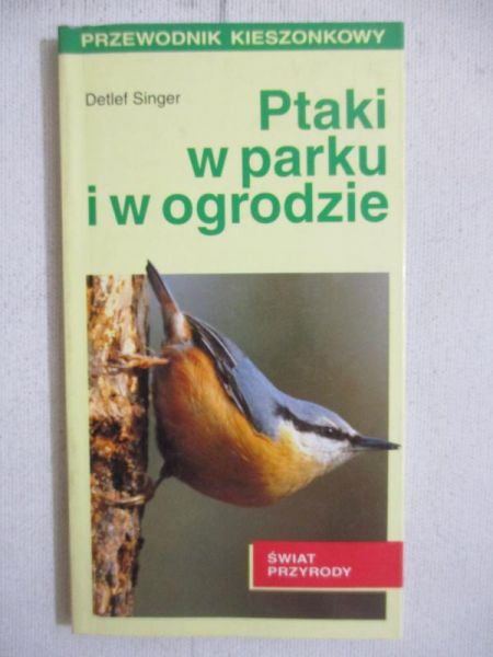 Ptaki w lesie parku i ogrodzie