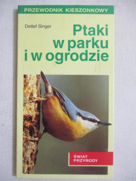 Ptaki w lesie parku i ogrodzie
