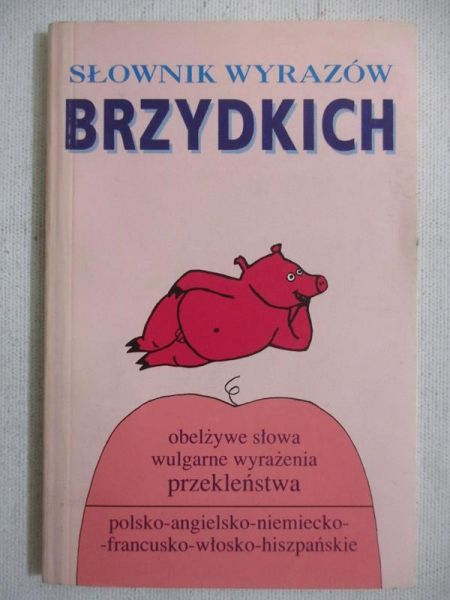 Słownik wyrazów brzydkich