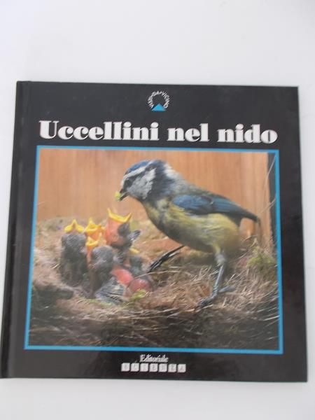 Uccellini nel nido