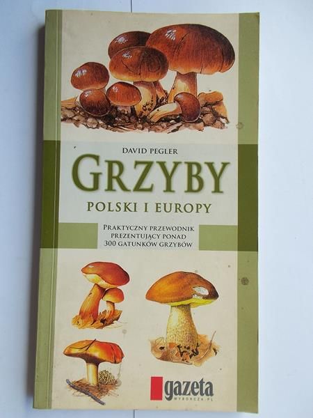 Grzyby Polski i Europy