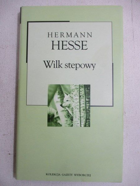 Wilk stepowy