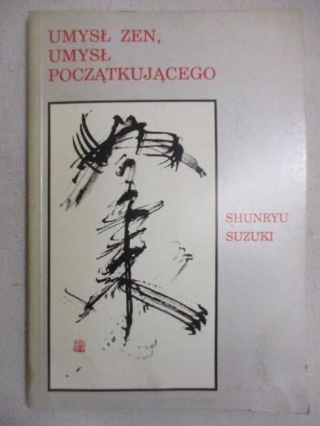 Umysł Zen, umysł początkującego