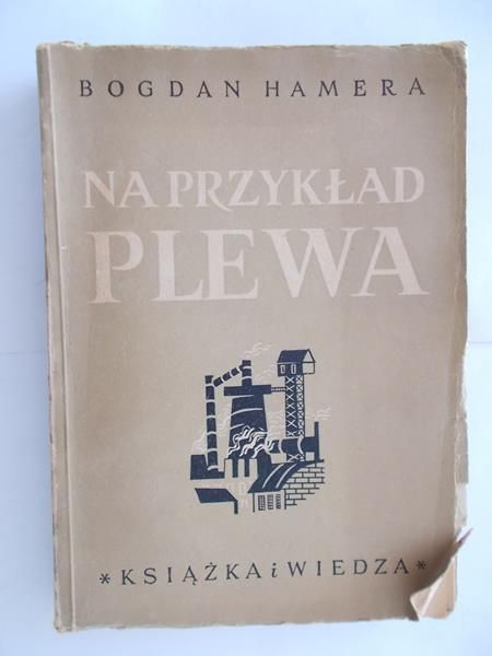 Hamera Bogdan - Na przykład Plewa