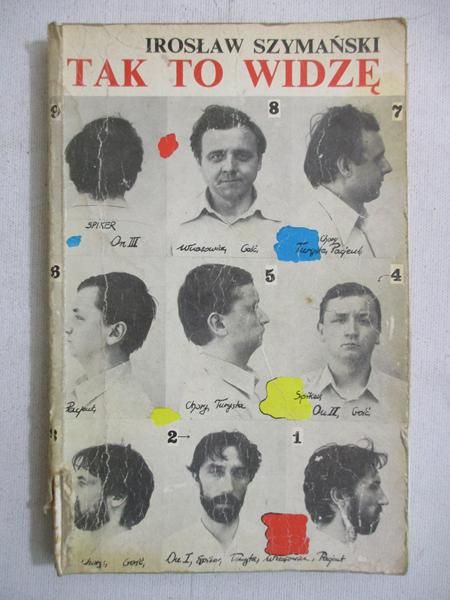 Tak to widzę