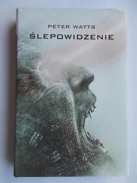 Ślepowidzenie