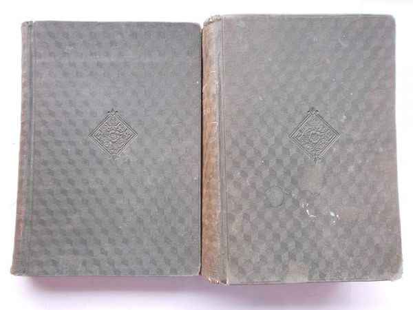 Kraszewski Józef Ignacy - Powrót do gniazda / Starosta warszawski - 2 części