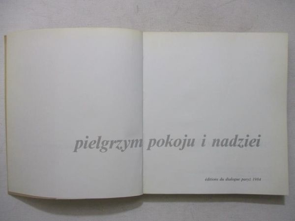 Pielgrzym pokoju i nadziei
