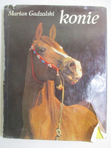 Konie