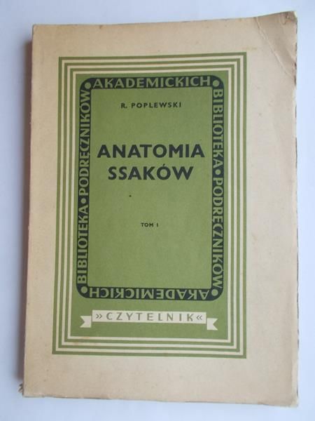Anatomia Ssaków