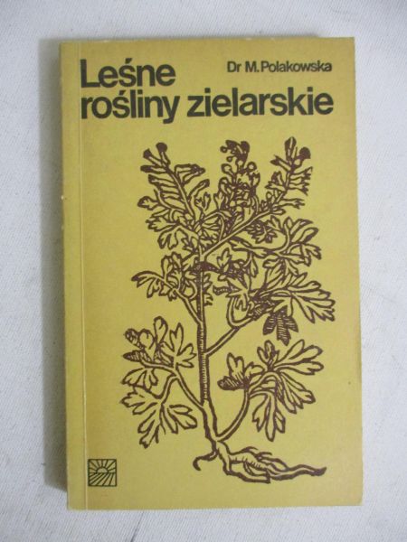 Leśne rośliny zielarskie