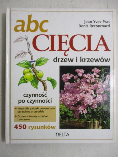 ABC cięcia drzew i krzewów
