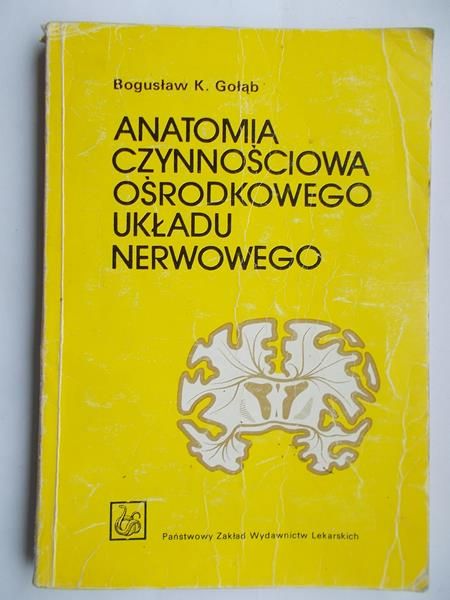 Anatomia czynnościowa ośrodkowego układu nerwowego