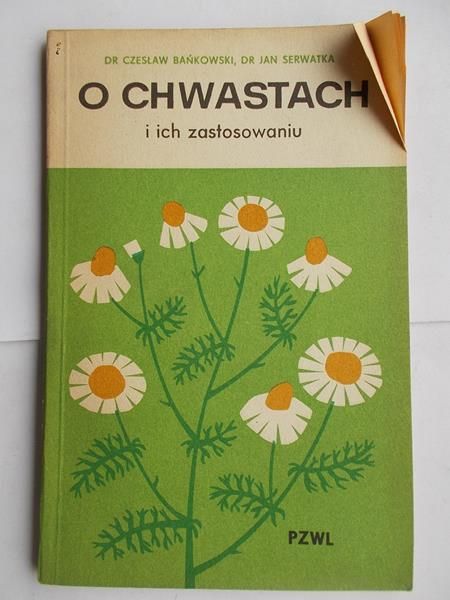 O chwastach i ich zastosowaniu
