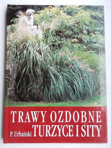 Trawy ozdobne. Turzyce i sity