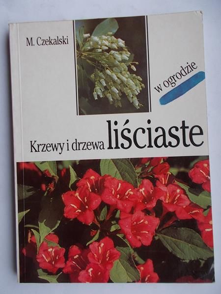 Krzewy i drzewa liściaste w ogrodzie