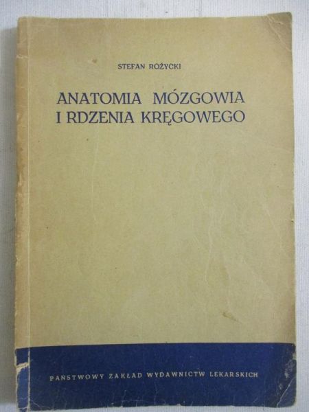 Anatomia mózgowa i rdzenia kręgowego