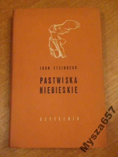 Steinbeck PASTWISKA NIEBIESKIE  Nike
